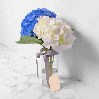 Cloud and Sky Elegance, Blooms in Cylinder Vase, Blue Hydrangea, White Hydrangea, Cylinder Glass Vase